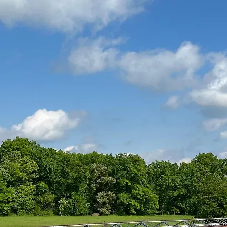 Monstera I - Classic Apartment