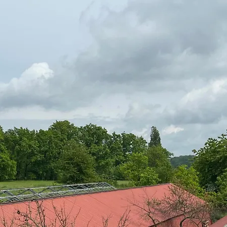 Monstera I - Classic * Kolín