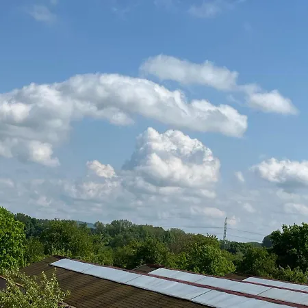 Monstera I - Classic