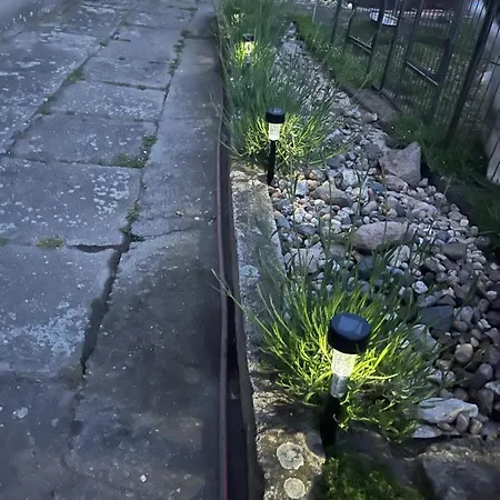 Apartment Monstera I - Classic *