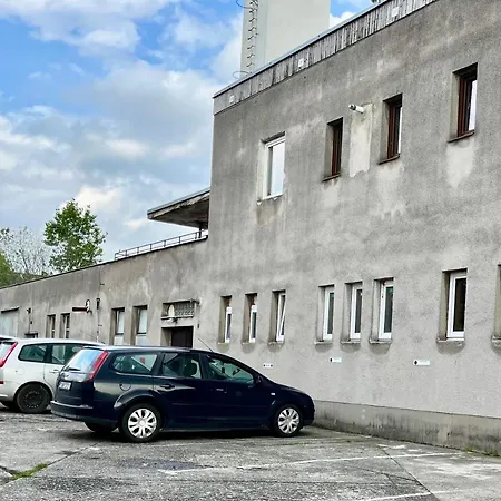 Monstera I - Classic *