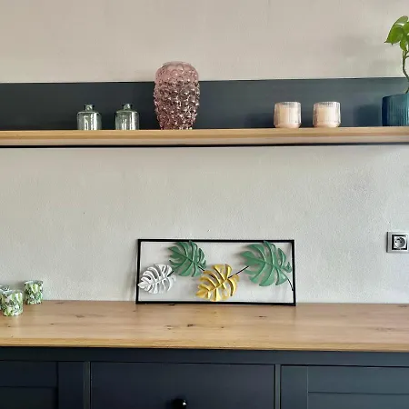 Monstera I Kolín