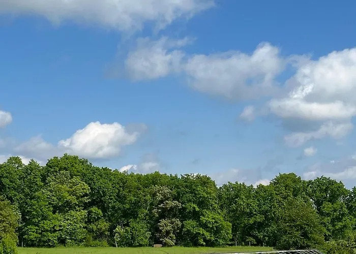 Monstera I - Classic 公寓