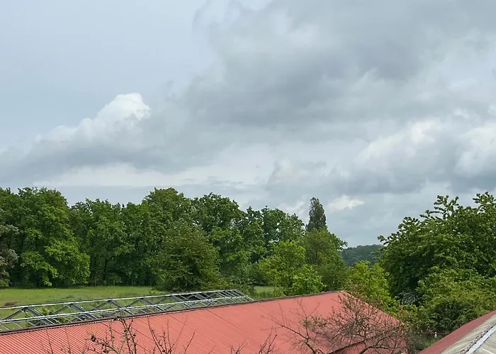 Monstera I - Classic * コリーン