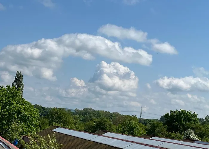 Monstera I - Classic