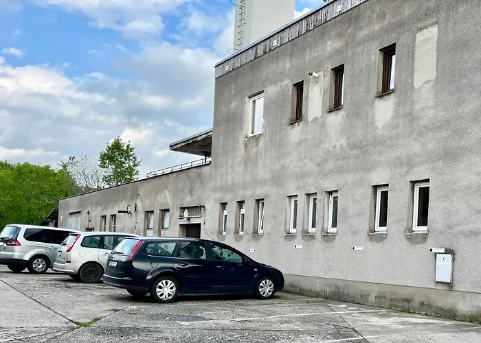 Monstera I - Classic *