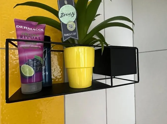 Monstera I - Classic Apartment Kolin