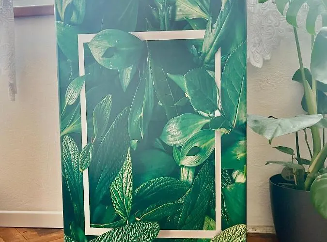 Monstera I - Classic Apartment